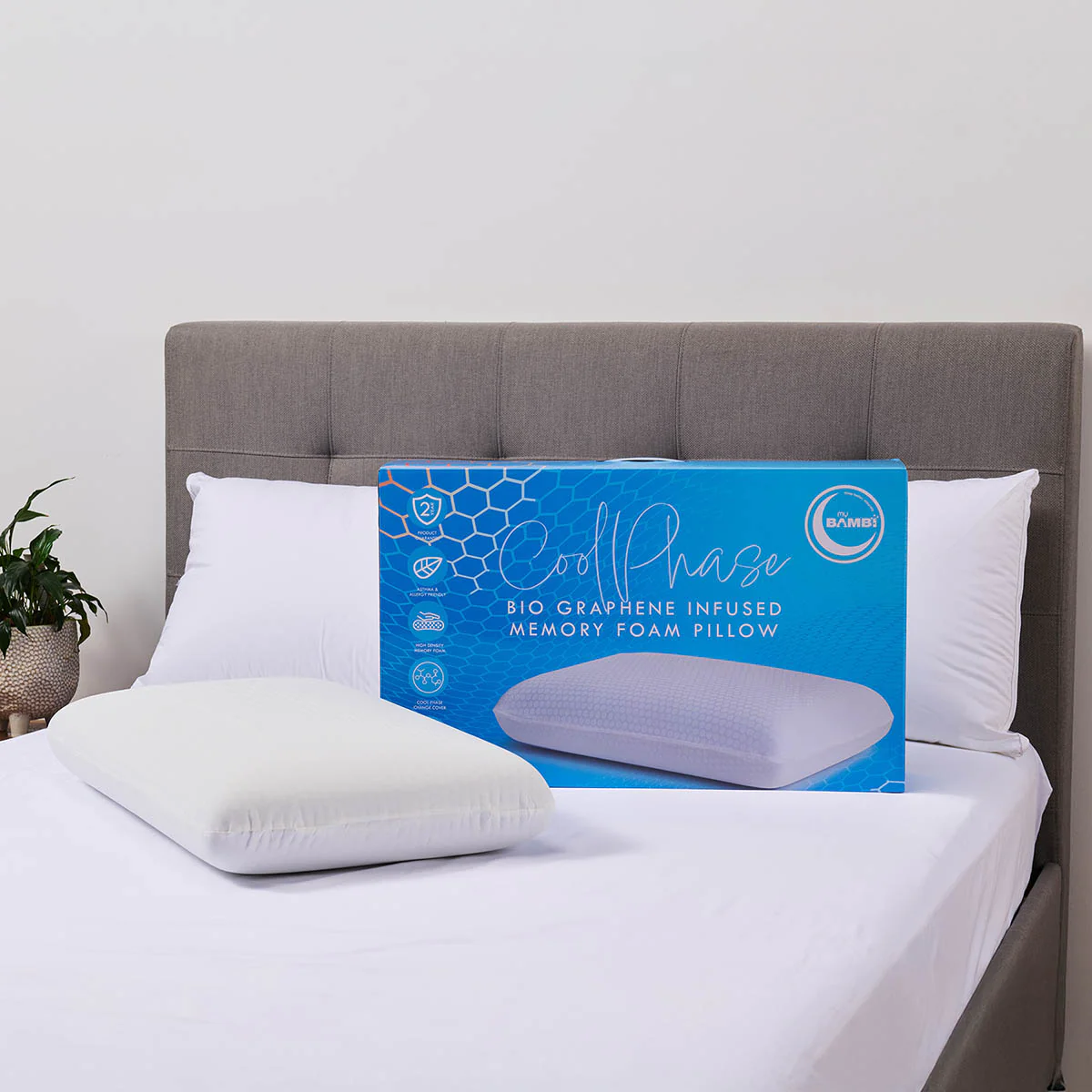 Pillows